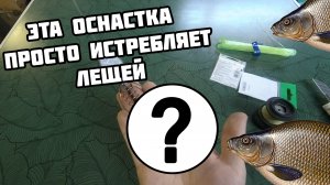 Лучший доночный монтаж для реки с сильным течением / Уловистые донки на леща