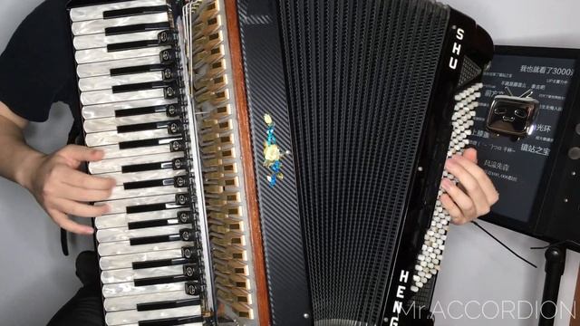 [Accordion]Animal Crossing - K.K. Condor смотреть онлайн
