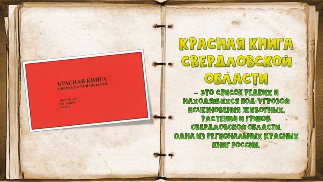 Словарь ''Заметки виртуального исследователя'' смотреть онлайн