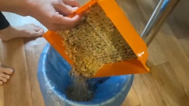 Спецобразование В гостях у Хомы ЦКРОИР г Бобруйска смотреть онлайн