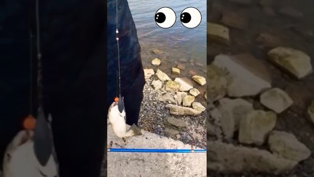 Ейск - рыбалка на лимане. Пеленгас уже есть. Март 2023. смотреть онлайн