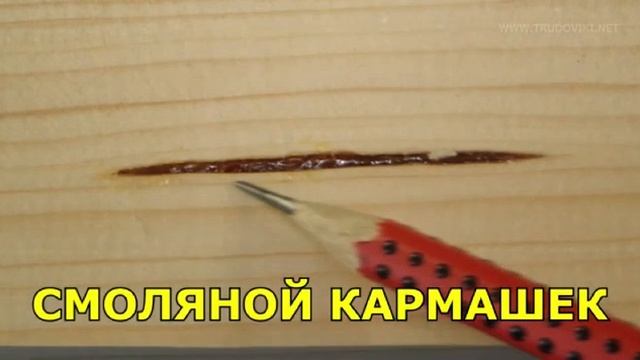 Пороки древесины смотреть онлайн