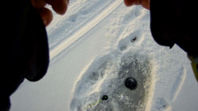 Раздача окуня в черте города. Первый зимний выход на рыбалку по льду смотреть онлайн