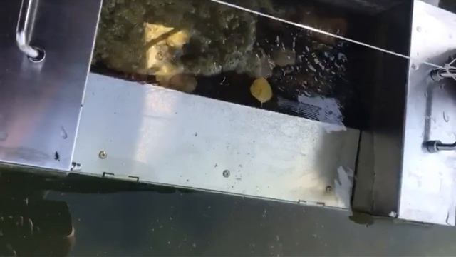 Скиммер для пруда CSP 16000 // Как работает плавающий скиммер для пруда / CSP 16000 Grech смотреть онлайн