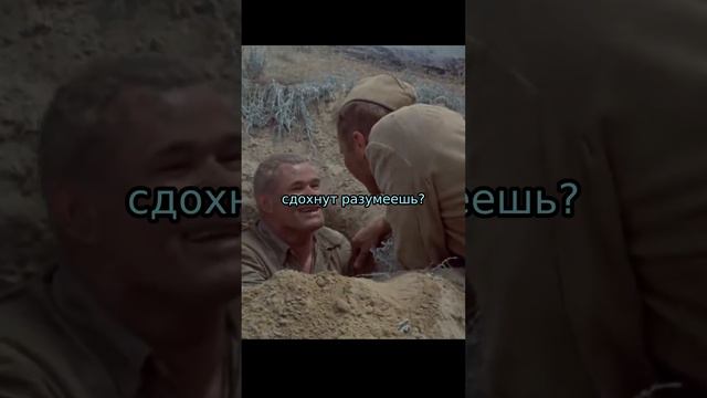 Че мы сегодня жрать будем? Они сражались за Родиye #9мая #шукшин #cccp #дружба #коммунизм #мир смотреть онлайн