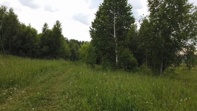VLOG: Тестирую ЭКШН-КАМЕРУ DJI OSMO POCKET смотреть онлайн