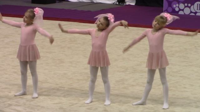 Турнир по эстетической гимнастике "SILFIDA CUP" 05.05.2019г. 0560 смотреть онлайн