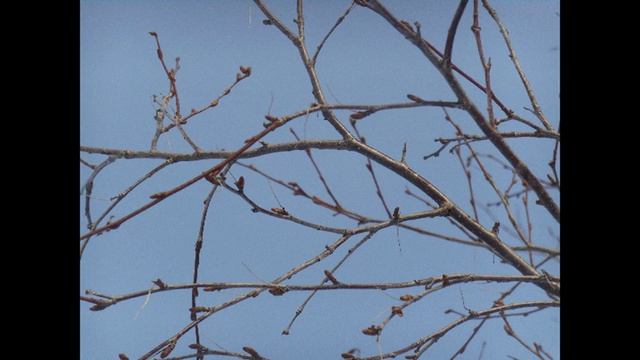 Чаркабож Ижемского района Республики Коми