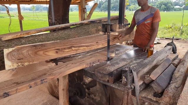 Banyan Tree Wood Cutting with Skilled Skilled Worker।Logging Sawmill Cutting Banyan Tree in World смотреть онлайн