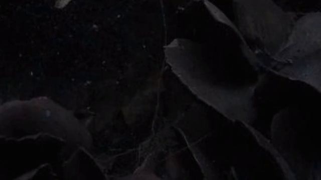 МОЙ БУДУЩИЙ БЫВШИЙ. 1 ГЛАВА💥 смотреть онлайн