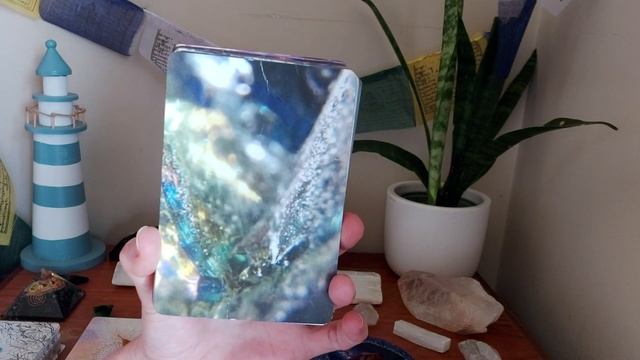 #51 Past Present Future reading for Divine Feminine!!! #divinefeminine #oracle #twinflame смотреть онлайн