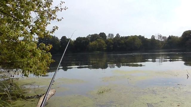 Отчёт о рыбалке. Отдых на природе и ловля подлещика на фидер смотреть онлайн