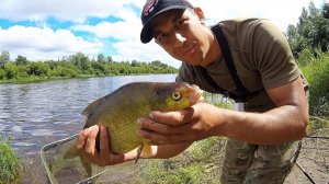 РЫБАЛКА В ФАНТАСТИЧЕСКОМ МЕСТЕ. ДОНКИ НА ЖИВЦА. РЫБАЛКА НА ФИДЕР. ЖАРЕХА ИЗ ЦАРЬ-РЫБЫ.