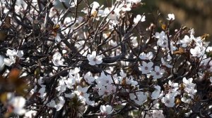 Поездка в Узбекистан в марте