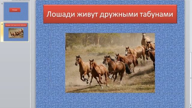 Как создать презентацию в Microsoft PowerPoint 10 смотреть онлайн