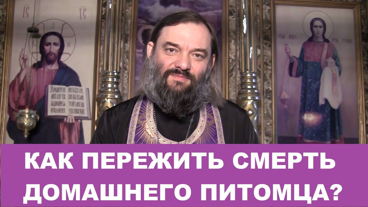 Как пережить смерть домашнего питомца? Священник Валерий Сосковец