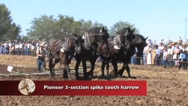 Horse Progress Days 2010 - Draft Animal Power Event смотреть онлайн