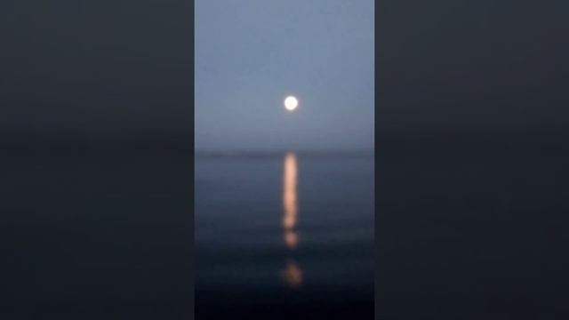 Лунный вечер в Новосибирске смотреть онлайн