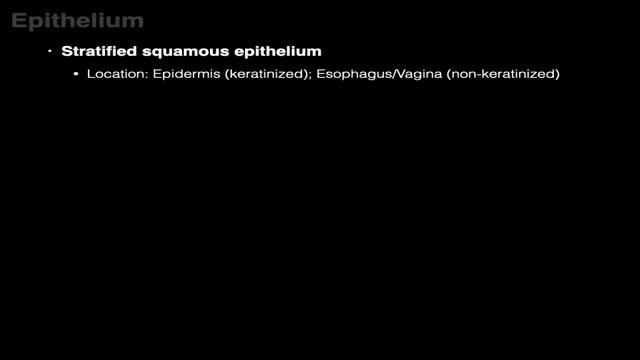 Epithelium смотреть онлайн
