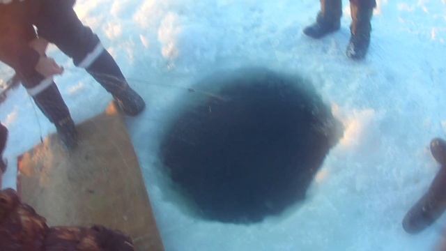 ставим сети 2018 зима смотреть онлайн