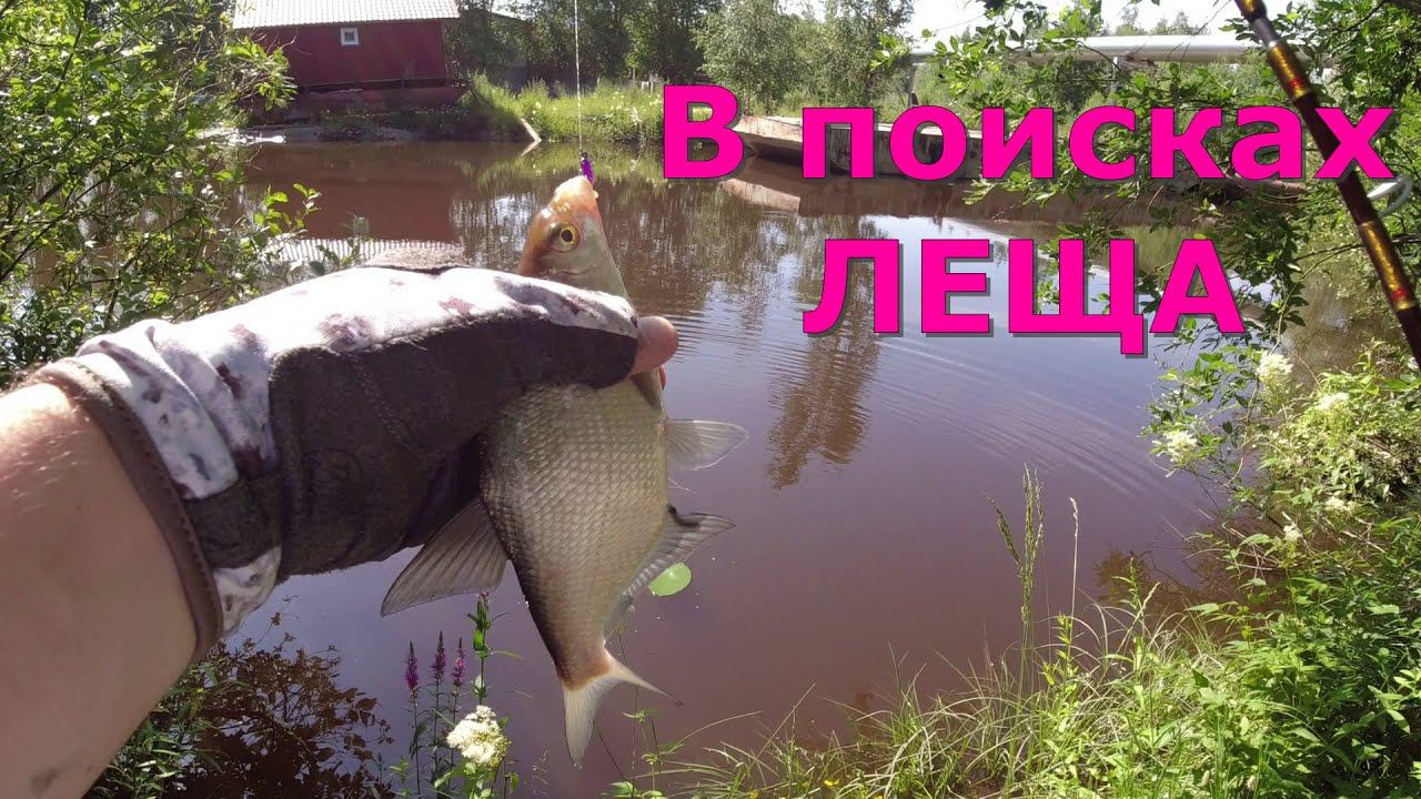 #434 #мормышинг | В поисках леща | смотреть онлайн