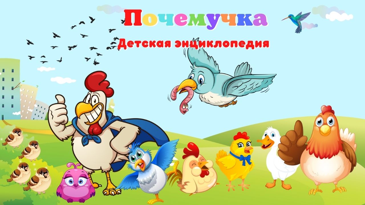 0+ Какие птицы летают быстрее всех? Почемучка. Детская энциклопедия. смотреть онлайн