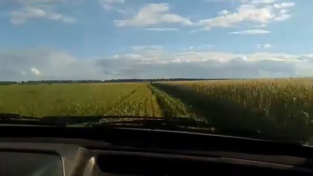 Начало лета. Едем на рыбалку. Кайф смотреть онлайн