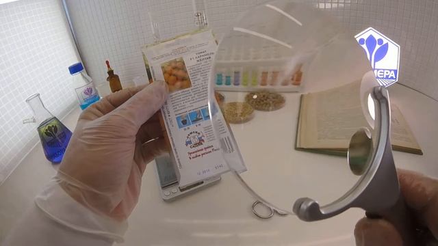 Томат Карамель желтая F1. СеДеК смотреть онлайн