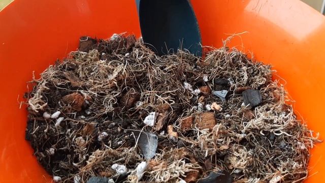 САЛАТ ДЛЯ МАРНИЕРЫ. 30.12.2022. смотреть онлайн