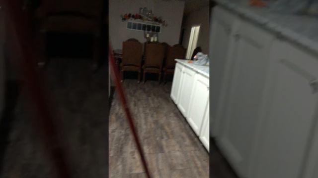 MY BROOM STANDS ALONE! (2/10/2020) смотреть онлайн