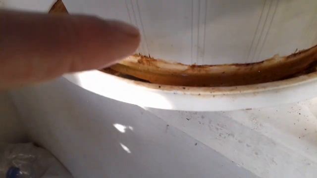 От жары сохнут бутоны но растут ветки у азалий смотреть онлайн