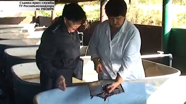 рыбоводы смотреть онлайн