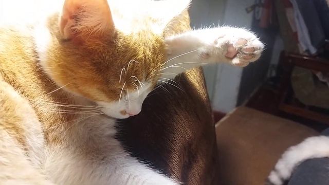 Добрый вечер добрым людям на добро! смотреть онлайн