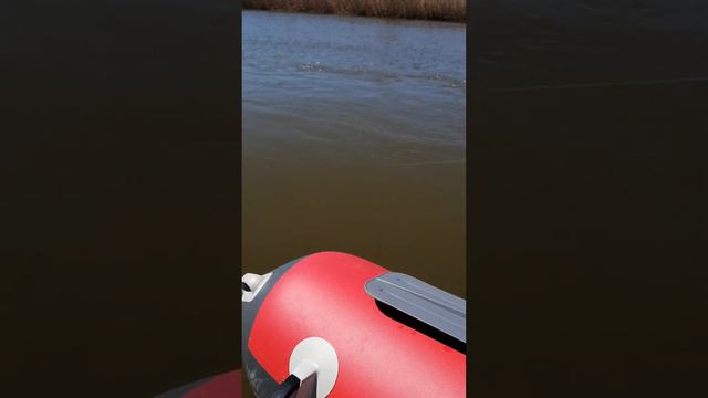 Астрахань. Весна 2023 смотреть онлайн