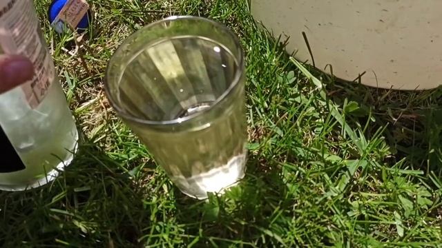 ЧЕМ ПОДКОРМИТЬ РОЗЫ. РОЗЫ ПОСЛЕ ЗИМЫ ПОДКОРМКА. Проверенный рецепт для Роз смотреть онлайн