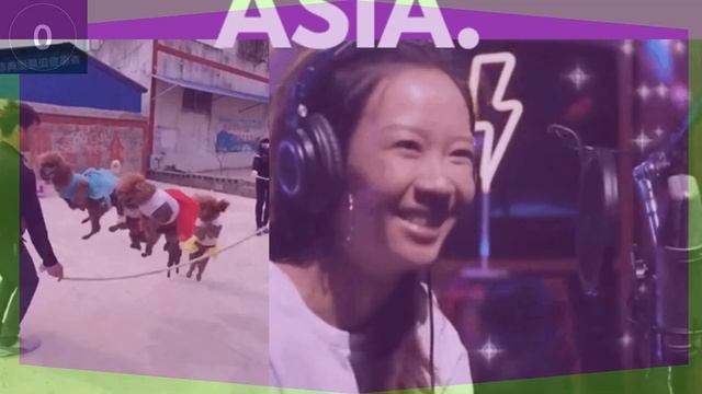 Are You Smarter Than A Fifth Grader Questions| 2022 | MINDBRIGHT NOW- Prove it смотреть онлайн