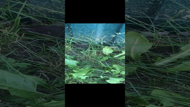 02-03-2024 маленький гость смотреть онлайн