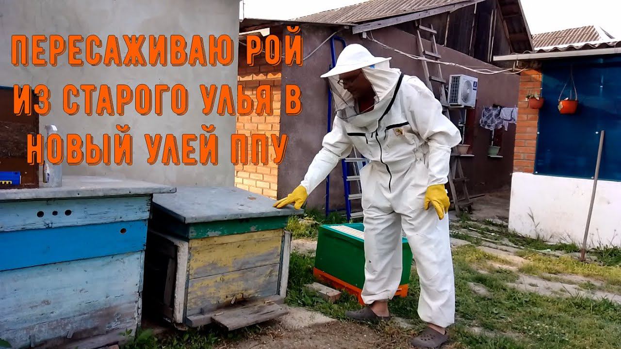 Пересаживаю рой со старого улья смотреть онлайн
