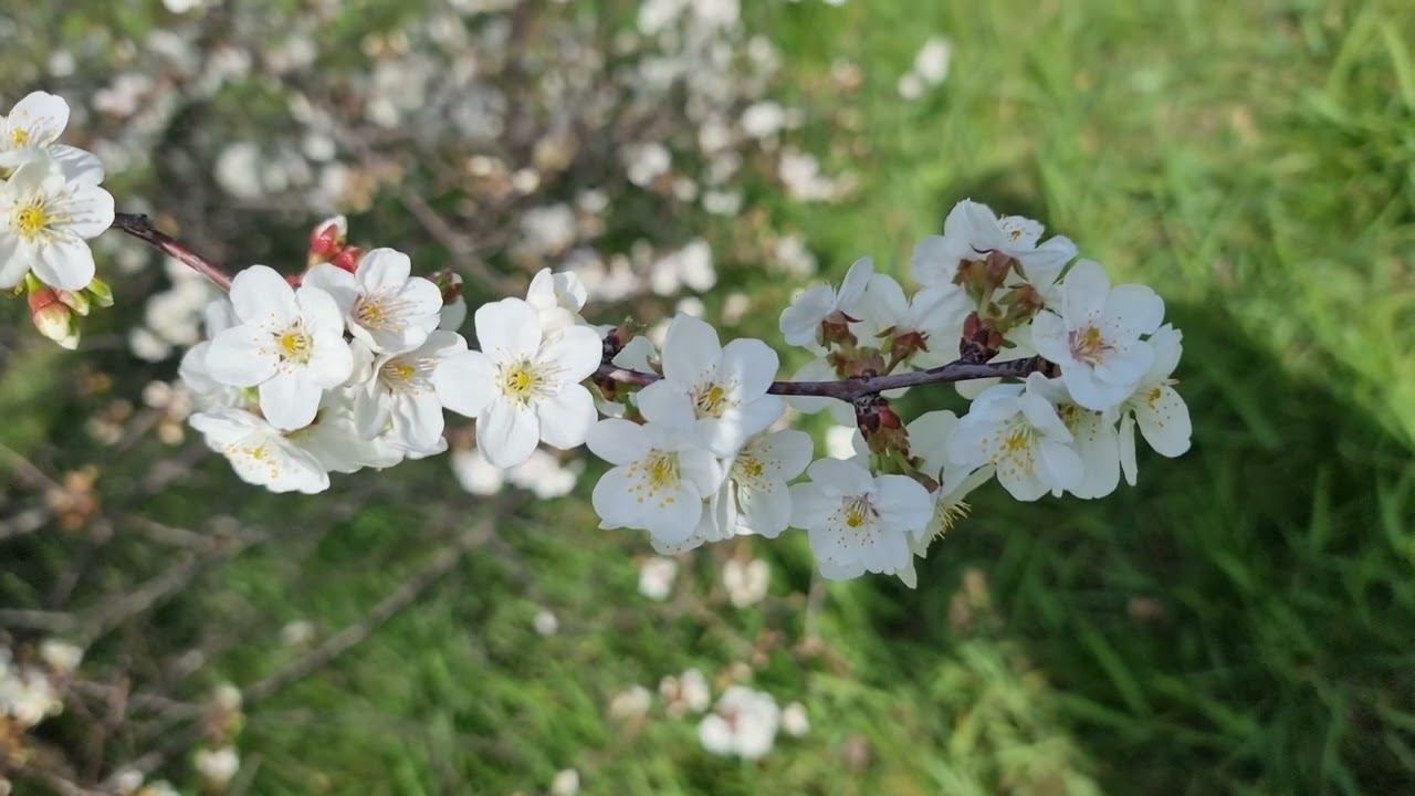 Сочи 02 апреля 2024 смотреть онлайн