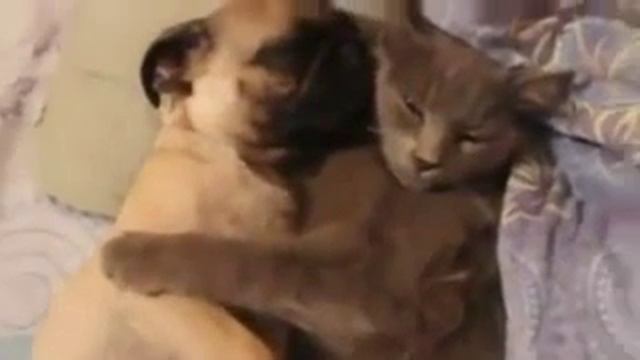 недает спать! смотреть онлайн