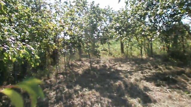 Разговоры у земли.2. Экскурсия по участку (ОСТОРОЖНО: обильное выделение слюны)!!! смотреть онлайн