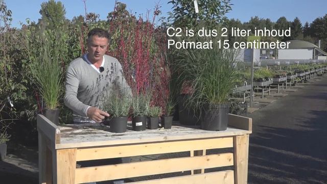 Planta - Uitleg potmaten смотреть онлайн