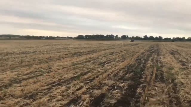 Розкидаємо добрива під пахоту (МТЗ 892 + amazone zam) смотреть онлайн