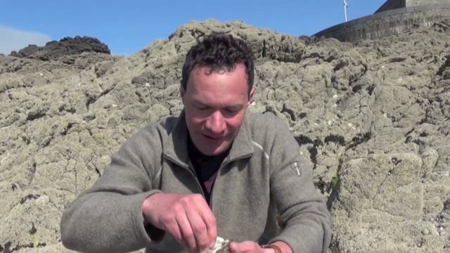 Устрицы смотреть онлайн