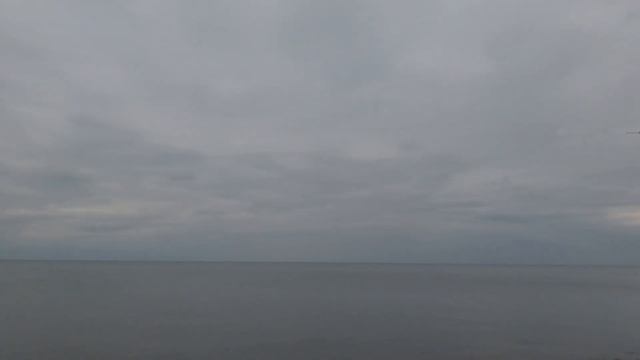 Камбала пошла на конец то 2022