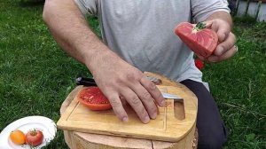 Томат Шоколадное чудо (проба)