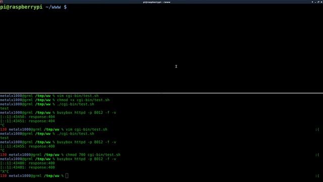 httpd Busybox Server Side Scripts CGI BASH Linux Web Server Tutorial #2 смотреть онлайн