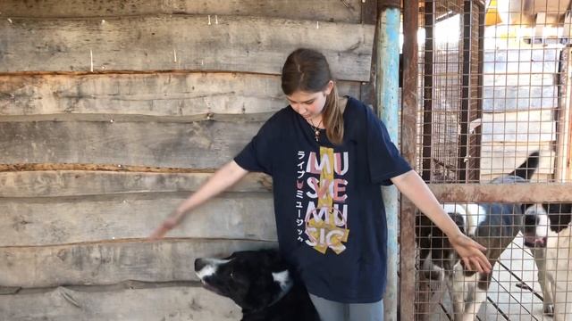 Мара (Булата дочь), Лота (Матурхана дочь). Бульдозера линии. +79157787787 смотреть онлайн