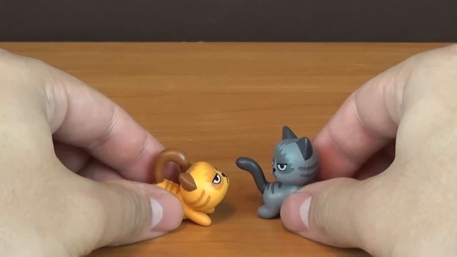 Grumpy Cat из Китая, сердитые котята