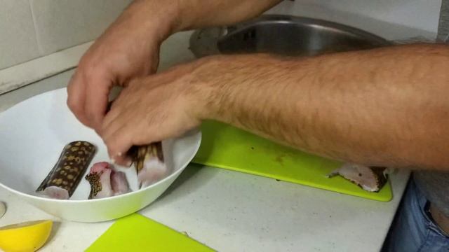 Мурена Рыба ядовитая съедобна ли и как приготовить Черногория Будва смотреть онлайн